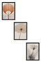 Wallity Huhu481S - Set de 3 pinturas decorativas en MDF de 35 x 50 cm